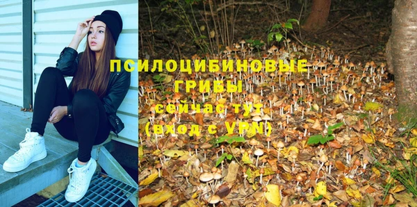 кокаин колумбия Алексин