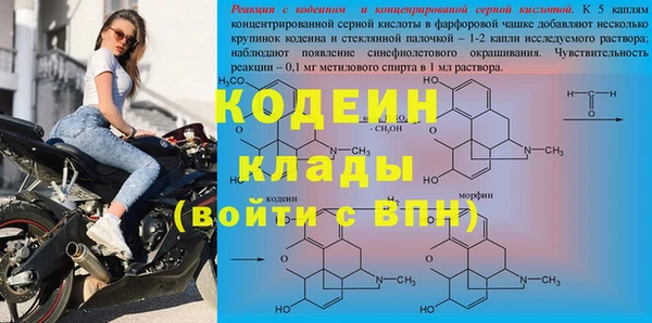 ГАЛЛЮЦИНОГЕННЫЕ ГРИБЫ Пестово