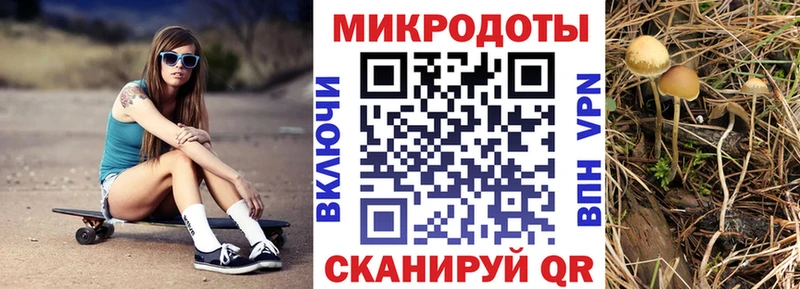 Псилоцибиновые грибы мицелий Наволоки